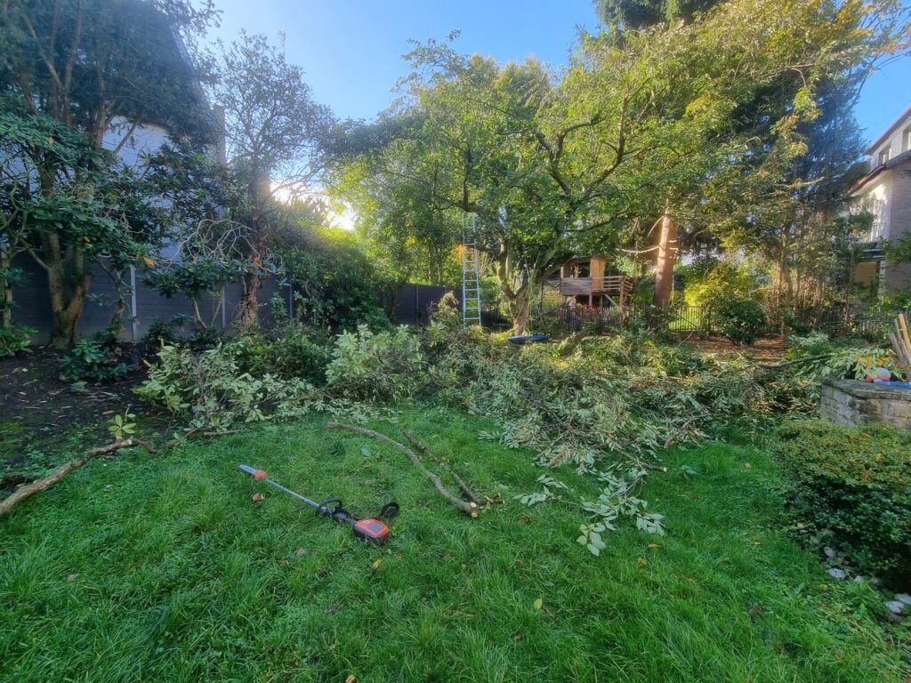 Gartens nach dem Rückschnitt von Büschen.